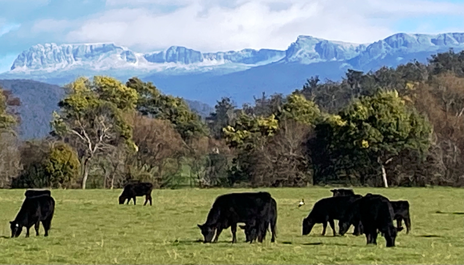 Fingal Valley community