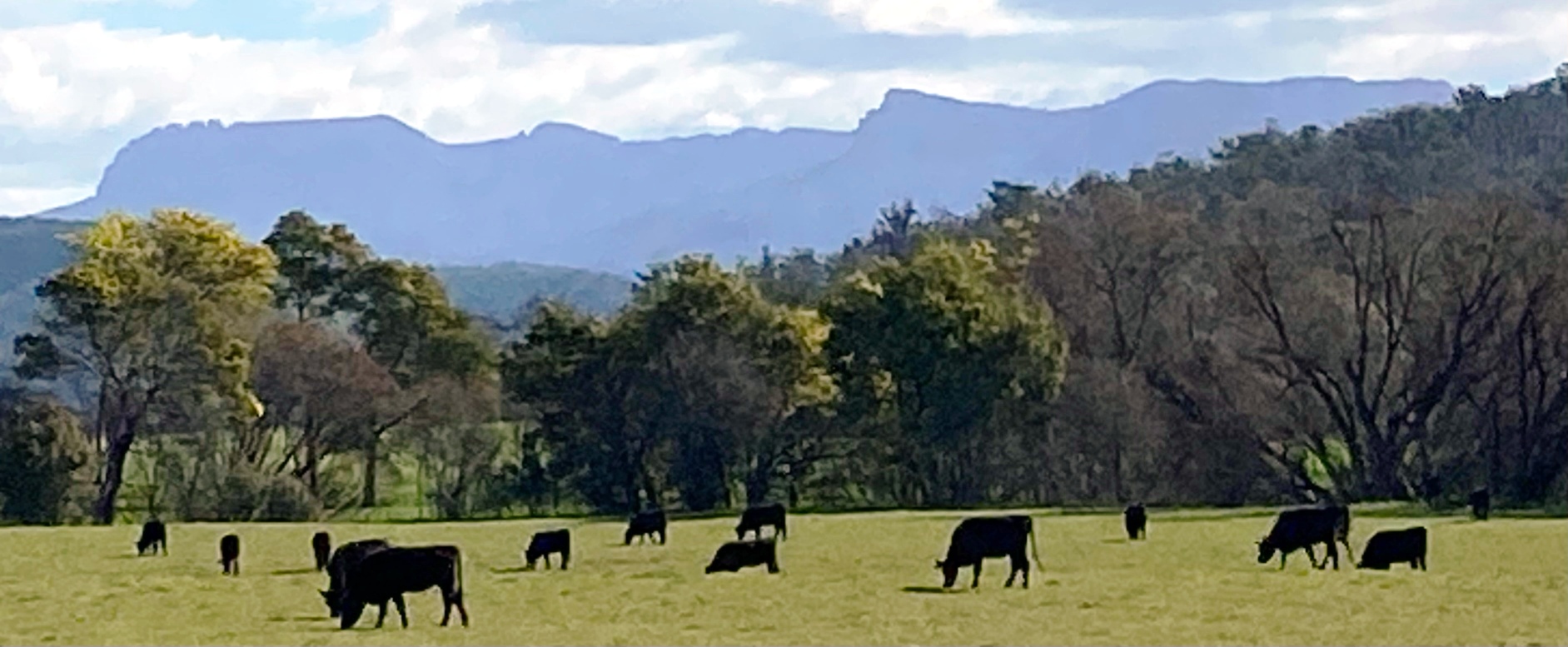 Fingal Valley community
